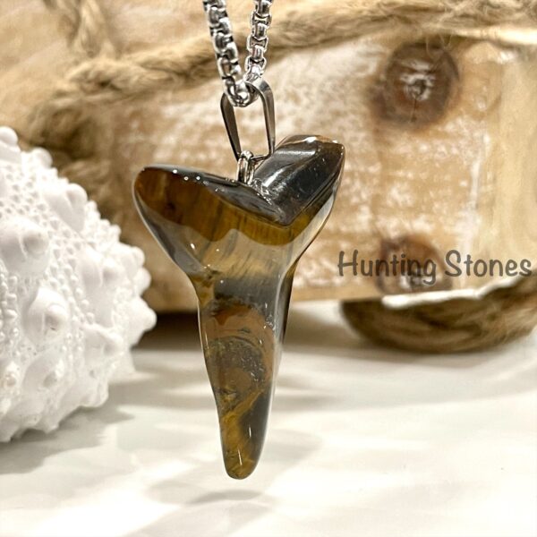 Natural Tigers Eye Shark Tooth Necklace