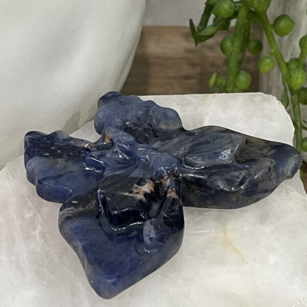 Beautiful Sodalite Crystal Butterfly - 69mm 01