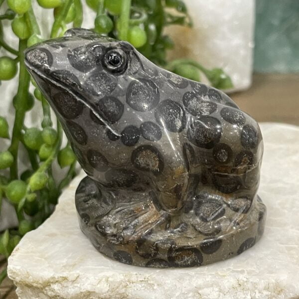 Beautiful Leopard Jasper Crystal Frog - 60mm 01AE